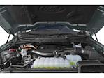 2023 Ford F-150 SuperCrew Cab 4WD Pickup for sale #PFB78220 - photo 12