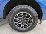 2023 Ford F-150 SuperCrew Cab 4WD Pickup for sale #PKD43049 - photo 6