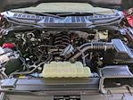 2023 Ford F-150 Regular Cab 4WD Pickup for sale #PKD46853 - photo 9