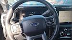 2024 Ford F-250 Crew Cab 4WD Pickup for sale #REF52359 - photo 6