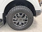 2024 Ford F-150 SuperCrew Cab 4WD Pickup for sale #RFC1491B - photo 14