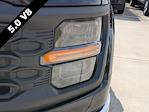 2024 Ford F-150 Regular Cab RWD Pickup for sale #RKD00167 - photo 5