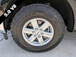 2024 Ford F-150 Regular Cab RWD Pickup for sale #RKD00167 - photo 6