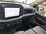 2024 Ford F-150 Regular Cab RWD Pickup for sale #RKE8603A - photo 19