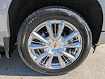 2024 Chevrolet Silverado 1500 Crew Cab 4WD Pickup for sale #RZ244016 - photo 22