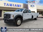 New 2025 Ford F-450 Crew Cab Service Truck for sale #SED33369 - photo 1
