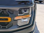 Used 2025 Ford F-150 Tremor SuperCrew Cab for sale #SFA26058 - photo 8