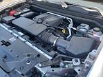2025 Chevrolet Colorado Crew Cab 4WD Pickup for sale #QCH250437 - photo 22