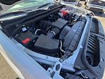 2025 Chevrolet Silverado 2500 Regular Cab 4WD Pickup for sale #QCH250440 - photo 18