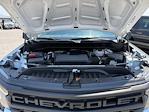 2025 Chevrolet Silverado 1500 Regular Cab 4WD Pickup for sale #QCH250618 - photo 34