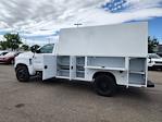 2024 Chevrolet Silverado 5500 Regular Cab DRW RWD Cab Chassis for sale #QCHB240993 - photo 8