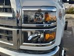 New 2024 Chevrolet Silverado 6500 Regular Cab Cab Chassis for sale #QCHF240720 - photo 9