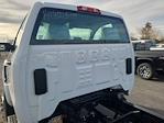 New 2024 Chevrolet Silverado 6500 Regular Cab Cab Chassis for sale #QCHF240728 - photo 23