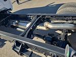 New 2024 Chevrolet Silverado 6500 Regular Cab Cab Chassis for sale #QCHF240759 - photo 26