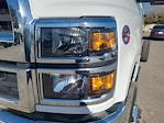 New 2024 Chevrolet Silverado 6500 Regular Cab Cab Chassis for sale #QCHF240759 - photo 9
