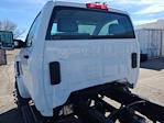 New 2024 Chevrolet Silverado 6500 Regular Cab Cab Chassis for sale #QCHF240764 - photo 22