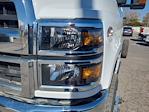 New 2024 Chevrolet Silverado 6500 Regular Cab Cab Chassis for sale #QCHF240765 - photo 9
