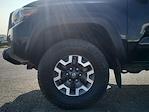 2020 Toyota Tacoma Double Cab 4WD Pickup for sale #4P0154A - photo 30