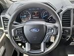 2020 Ford F-250 Crew Cab 4x4 Pickup for sale #D25005A - photo 13
