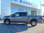 2024 Ford F-150 SuperCrew 4WD XLT for sale #FT60027A1 - photo 1