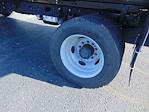 New 2025 Ford F-600 Regular Cab Steel Flatbed Truck for sale #SDA02750 - photo 8
