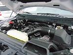 2025 Ford F-150 SuperCrew 4x4 Tremor for sale #SFA05961 - photo 18