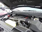 2025 Ford F-150 SuperCrew 4x4 Raptor for sale #SFA58721 - photo 18