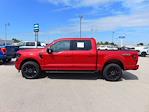 New 2025 Ford F-150 XLT SuperCrew Cab 4WD Pickup for sale #SFA99246 - photo 3