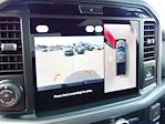 New 2025 Ford F-150 XLT SuperCrew Cab 4WD Pickup for sale #SFA99246 - photo 27