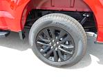 New 2025 Ford F-150 XLT SuperCrew Cab 4WD Pickup for sale #SFA99246 - photo 9