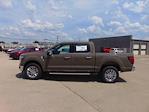 New 2025 Ford F-150 Lariat SuperCrew Cab 4x4 Pickup for sale #SFB70235 - photo 3