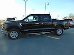 New 2025 Ford F-150 XLT SuperCrew Cab for sale #SFC50048 - photo 4