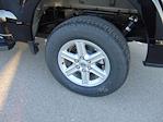 New 2025 Ford F-150 XLT SuperCrew Cab for sale #SFC50048 - photo 8