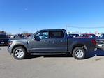 2025 Ford F-150 SuperCrew 4WD XLT for sale #SFC50235 - photo 1