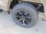 2025 Ford F-150 SuperCrew 4WD STX for sale #SFC51191 - photo 9
