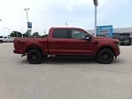 2025 Ford F-150 SuperCrew 4x4 XLT for sale #SKD72206 - photo 6