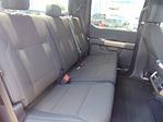 2025 Ford F-150 SuperCrew 4x4 STX for sale #SKE03200 - photo 14