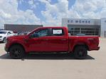 2025 Ford F-150 SuperCrew 4x4 STX for sale #SKE03200 - photo 3