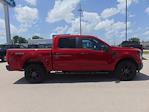 2025 Ford F-150 SuperCrew 4x4 STX for sale #SKE03200 - photo 6