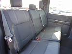 New 2025 Ford F-150 STX SuperCrew Cab 4WD Pickup for sale #SKF29256 - photo 15
