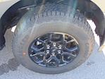 2025 Ford F-150 SuperCrew 4WD XLT for sale #SKF77997 - photo 22