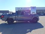 2025 Ford F-150 SuperCrew 4WD XLT for sale #SKF77997 - photo 6