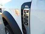 New 2026 Ford F-550 XLT Regular Cab 4x4 Cab Chassis for sale #TEC03600 - photo 10