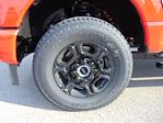 New 2026 Ford F-350 XL Crew Cab 4WD SRW Pickup for sale #TEC18264 - photo 17