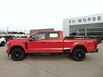 New 2026 Ford F-250 XL Crew Cab 4WD Pickup for sale #TEC18465 - photo 3