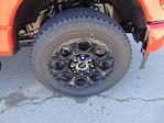 New 2026 Ford F-250 XLT Crew Cab 4WD Pickup for sale #TEC35154 - photo 22