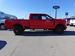New 2026 Ford F-250 XLT Crew Cab 4WD Pickup for sale #TEC35154 - photo 6