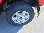 New 2026 Ford F-350 XLT Regular Cab 4WD SRW Pickup for sale #TEC85032 - photo 19