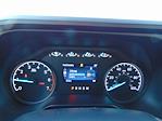 2026 Ford F-350 Regular 4WD XLT for sale #TED03655 - photo 20