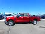 New 2026 Ford F-250 XLT Crew Cab for sale #TED31751 - photo 1